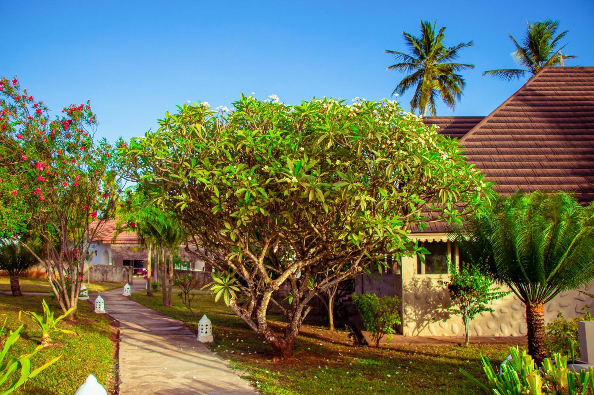 קיזימקזי Mandarin Resort Zanzibar מראה חיצוני תמונה